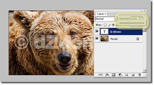 Marca de agua con Photoshop