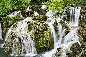 509814452_16a860bf6a_o