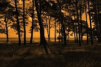 6241655784_e4efdaa7a8_b