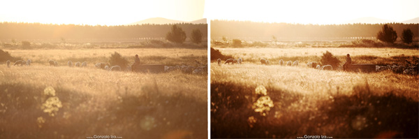 Como conseguir una buena fotografía