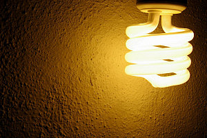 3250345372_f782d48a9d_b
