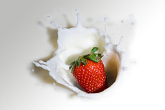 wpid-3487418668_91c83969bb_m.jpg