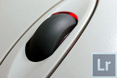 wpid-3usosRatonLightroom-mini.jpg
