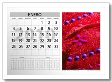 wpid-calendario-2010-photoshop.jpg