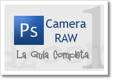 wpid-camera-raw-1.gif