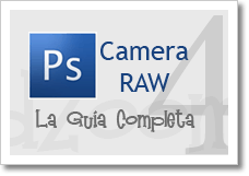 wpid-camera-raw-4.gif