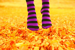 wpid-fotografia-otono.jpg