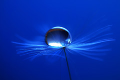 wpid-fotografias-gotas-agua.jpg