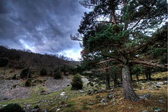 wpid-hdr-topaz.jpg
