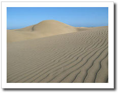 wpid-lineas-diagonales.jpg