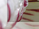 wpid-marco-photoshop-transparente.jpg