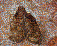 wpid-van-gogh-shoes-mosaic-peque.jpg